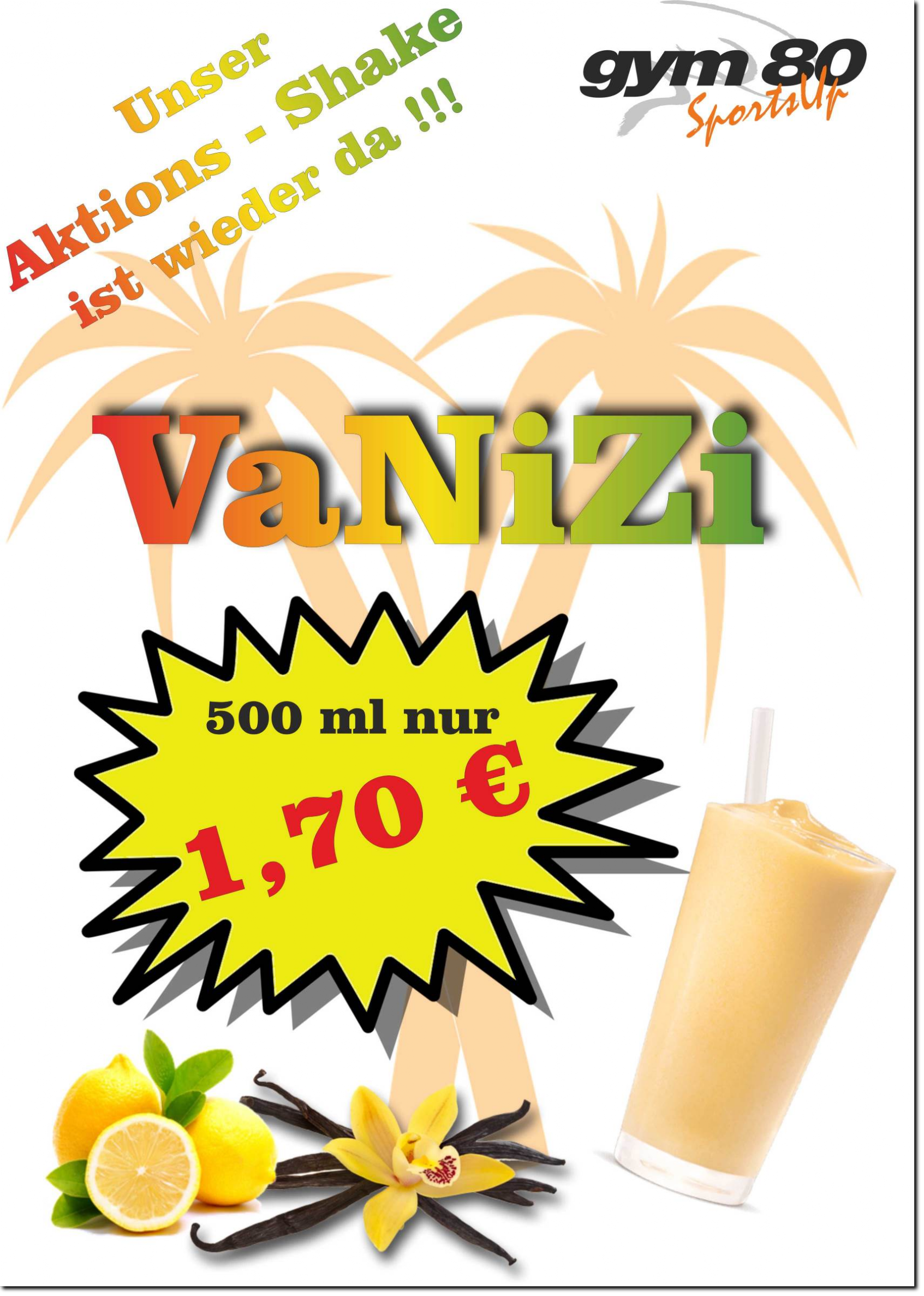 VaNiZi 500ml für nur 1,70 Euro